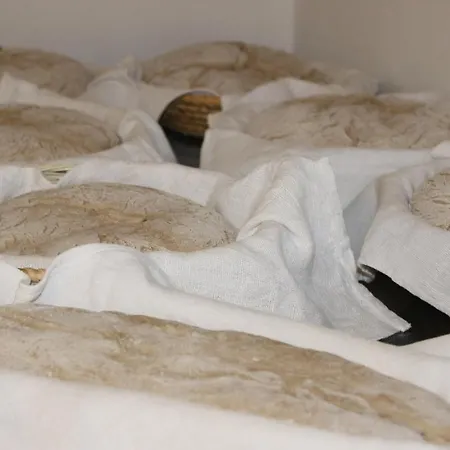 Berggasthof - Lahnerhof Liesing